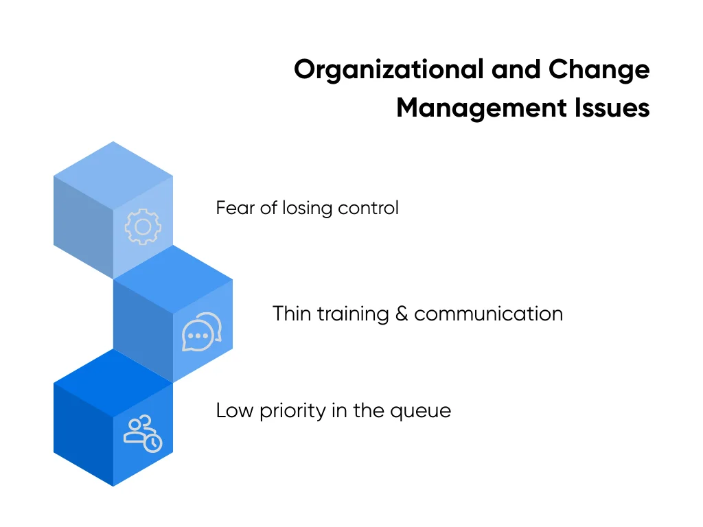 Issues in organizational structure and change management
