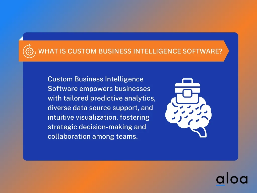 What Is Custom Business Intelligence Software