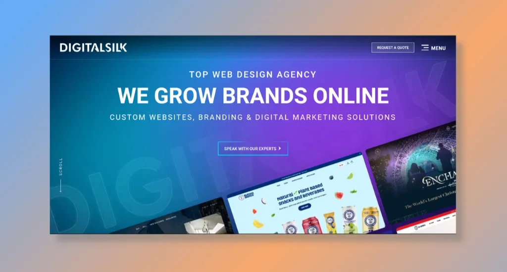 Digital Silk - Delivering End-to-End Ecommerce Development