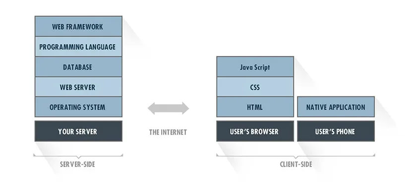 Full stack developer