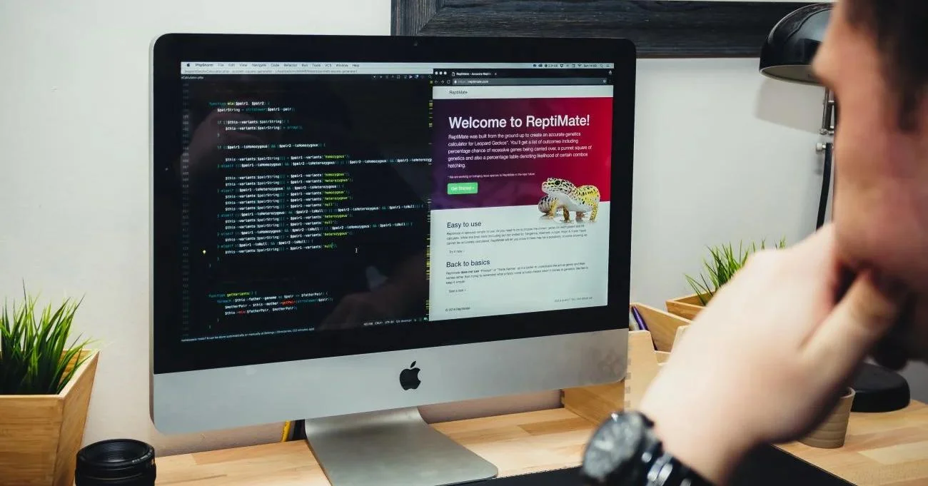 What Is Web Development? An Eye-Opening Guide For 2024