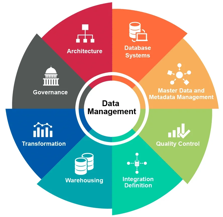 Skills needed to manage a database