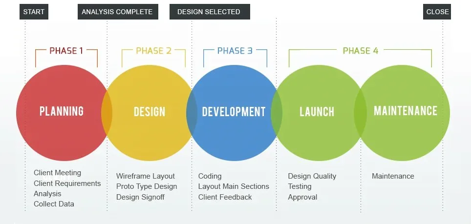 What Are The Steps In The Web Development Process