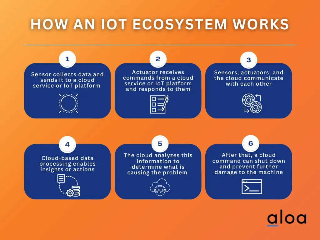 How an IOT Ecosystem works